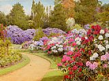 George Marks Canvas Paintings - The Rhododendron Walk